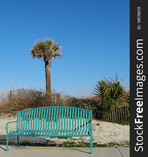 An empty bench sits on a sidewalk in front of dunes, sand, and a palm tree. An empty bench sits on a sidewalk in front of dunes, sand, and a palm tree.