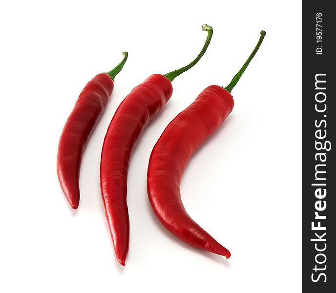 Three chili in row isolated on white background