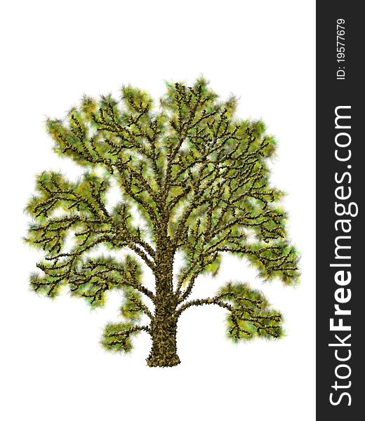 Tree illustration