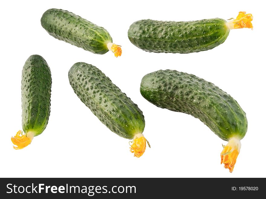 Six cucumbers isolated on white