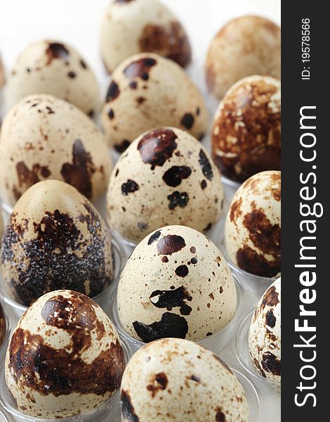 Group of fresh quail eggs - detail
