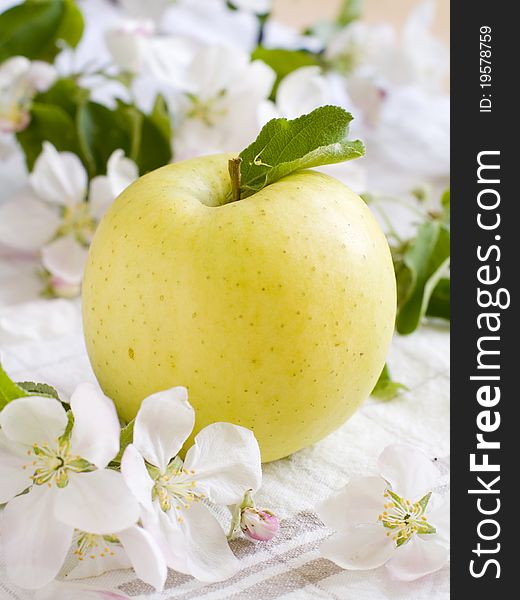 Fresh ripe apple with apple flower on background. Shallow depth, selective focus