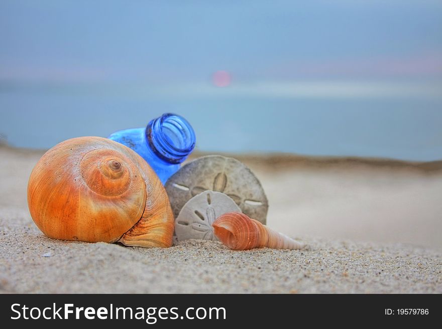 Seashells With Bottle On The Beach