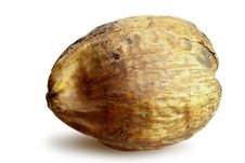 Coconut Seed Royalty Free Stock Images Coconut Seed Royalty Free Stock Images