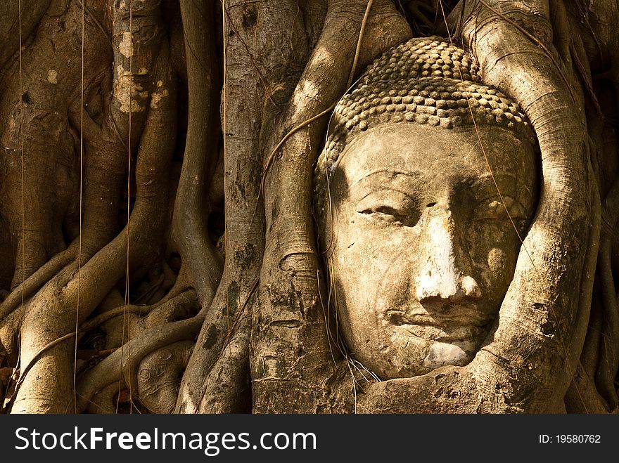 Buddha head in the thai temple