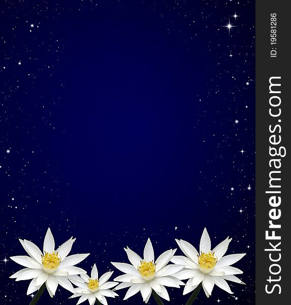 Isolated lotus white night sky background
