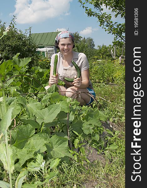 Smiling gardener in vegetable garden. Woman is working hard. Smiling gardener is showing her vegetable cucumbers.