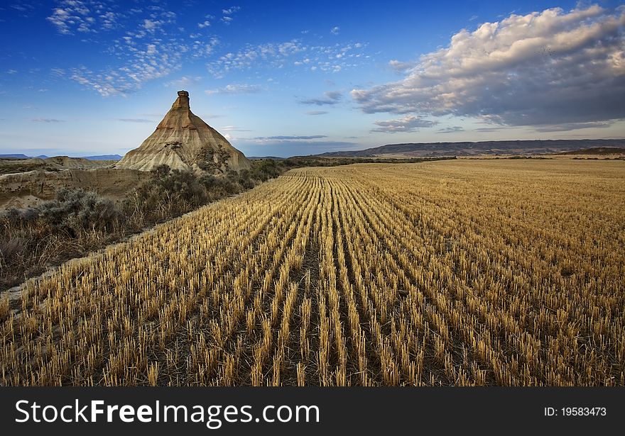 Agricultural field in summer and hill. Agricultural field in summer and hill