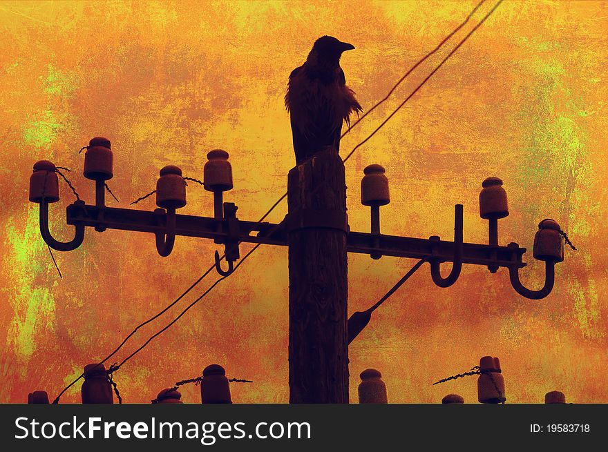 Grunge image showing raven standing on top of the telephone pole. Grunge image showing raven standing on top of the telephone pole.