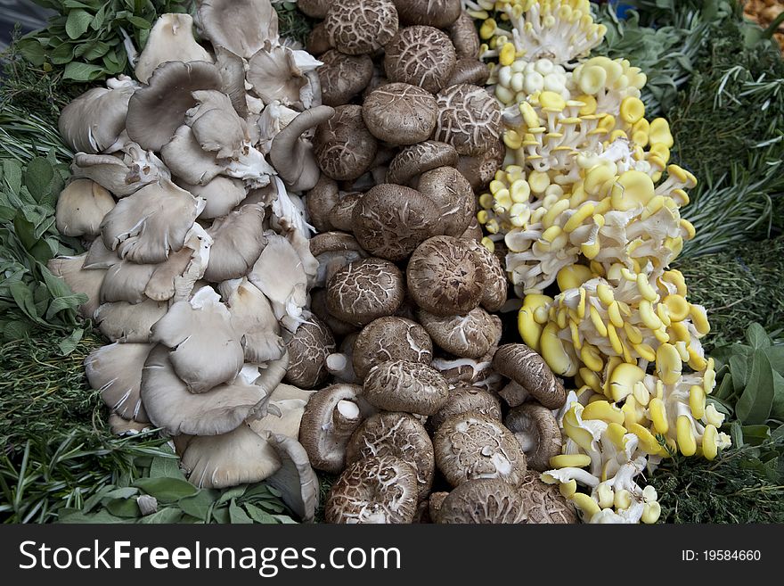 Collection of Various Mushroom Types on Market Stall. Collection of Various Mushroom Types on Market Stall