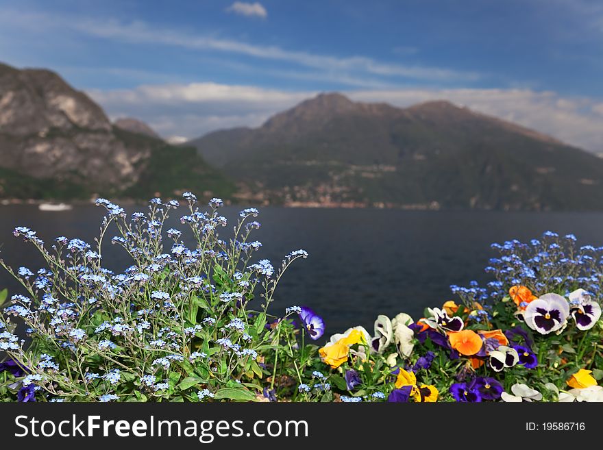 Flower bed in Bellagio village, lakeside of Como Lake, Italy