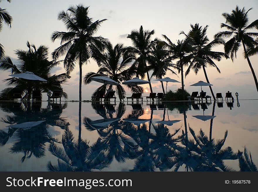 Coconut Palm Trees Reflecting In The Water Pool