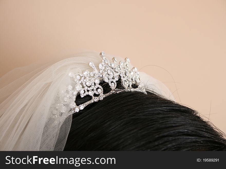 Tiara and veil worn by brunette bride