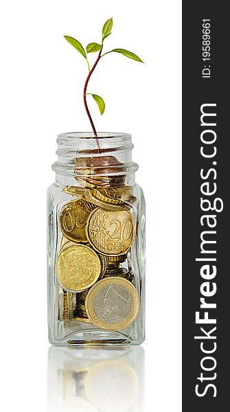 Avocado seedling growing from pile of coins. Avocado seedling growing from pile of coins