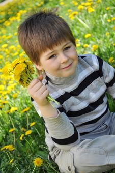 A Boy With A Bouquet Of Dandelions Stock Photos