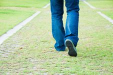 Grass Footpath Stock Photo Grass Footpath Stock Photo