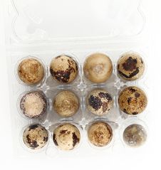 Quail Eggs Stock Images Quail Eggs Stock Images