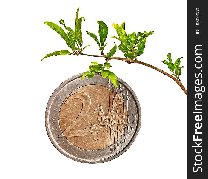 Euro coin as a fruit on branch. Euro coin as a fruit on branch