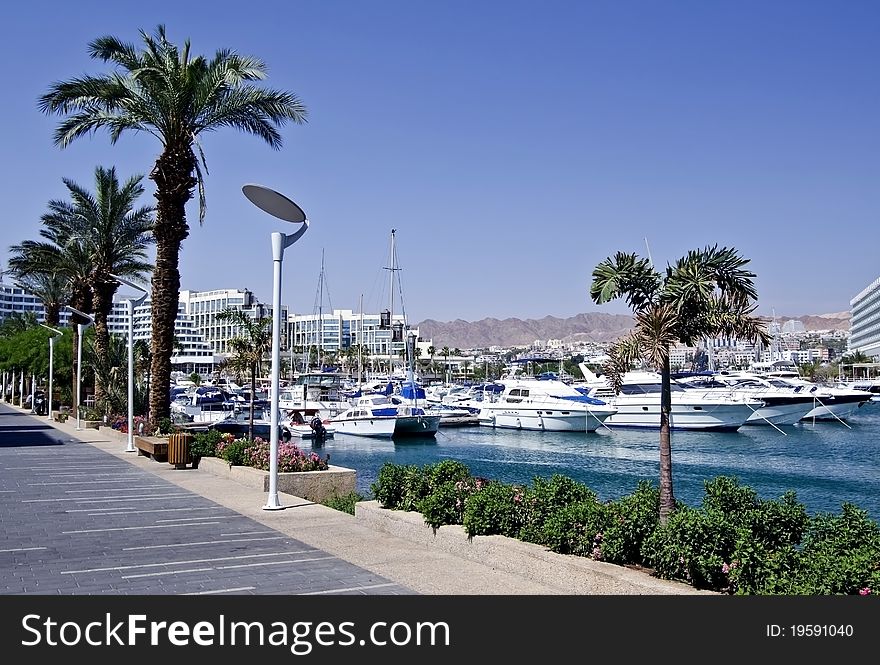 The shot was taken on the promenade of Eilat city - a famous resort and recreation center of Israel. The shot was taken on the promenade of Eilat city - a famous resort and recreation center of Israel