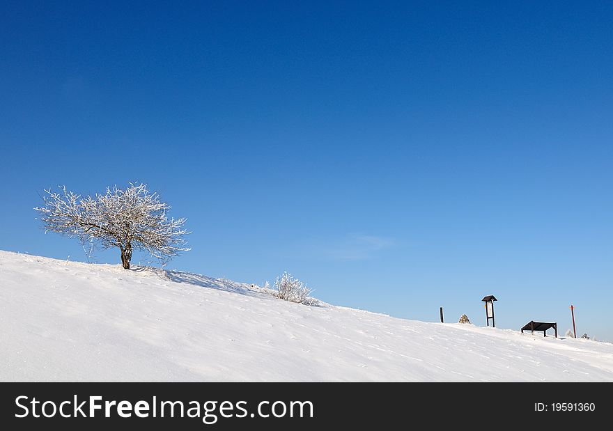 Minimalist winter landscape with tree