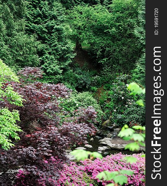 Scenic Nature park and landscaped garden grounds in springtime