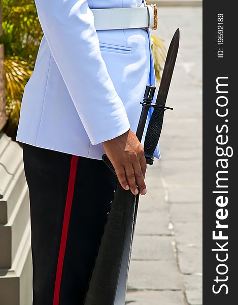 Military guard and gun security in palace