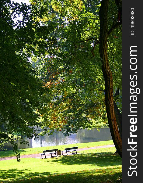 Two bench in a relaxing atmosphere of a european park. Two bench in a relaxing atmosphere of a european park.