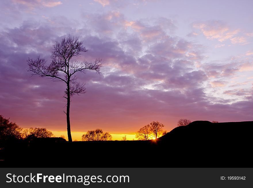 Beautiful evening sunset landscape with tree background