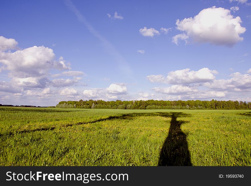 Summer landscape with tree shadow on meadow. Summer landscape with tree shadow on meadow