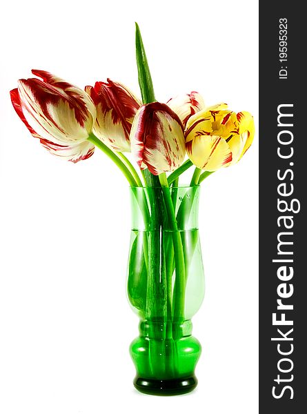 A bouquet of yellow tulips in a vase isolated on white background