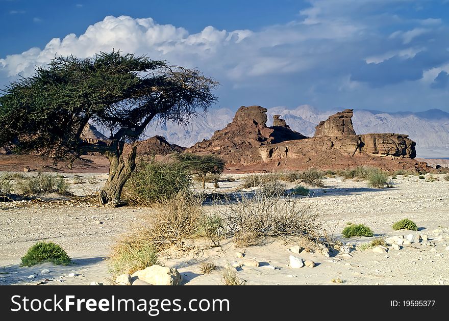 Rockies of Timna park, Israel