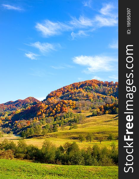 The mountain autumn landscape with colorful forest