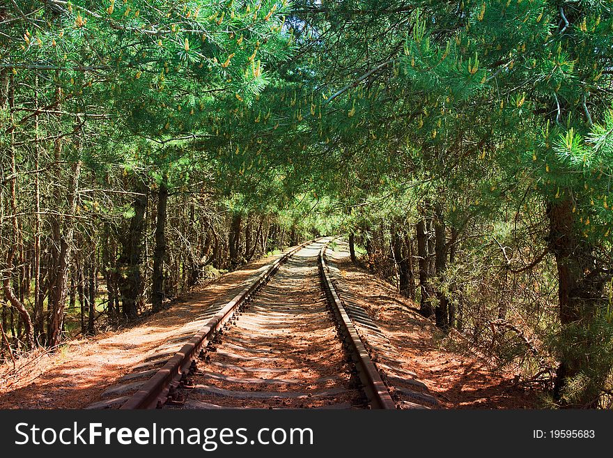 Abandoned railway line in the woods. Abandoned railway line in the woods