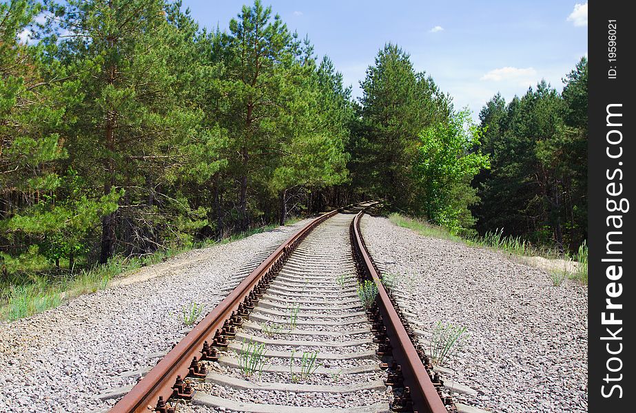 Abandoned railway line in the woods