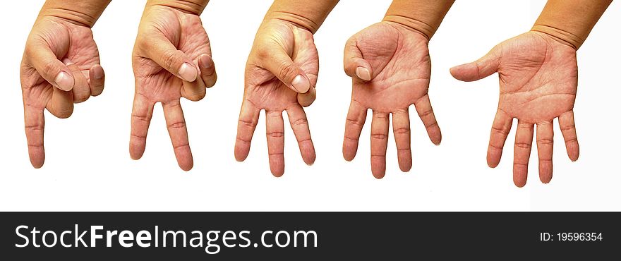 Counting hands 1 to 5 isolated on white background