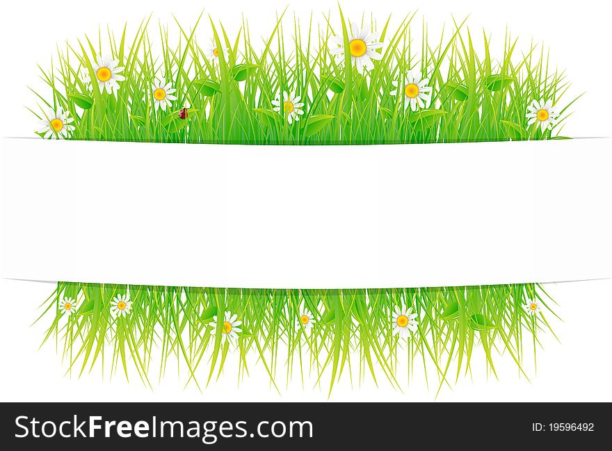 The frame decorated with a grass and flowers. The frame decorated with a grass and flowers