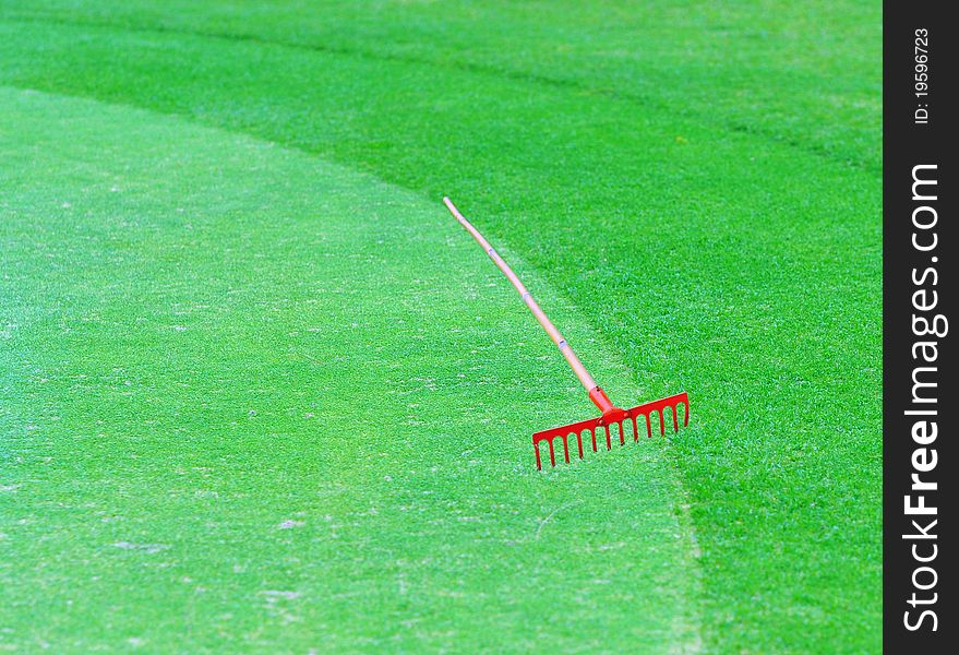 Perfect grass on the golf field