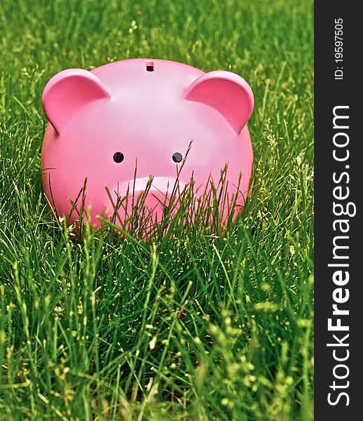 Piggy bank on the field of grass. Piggy bank on the field of grass