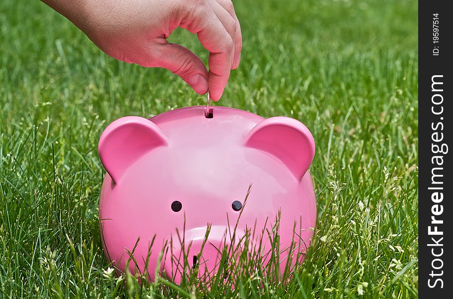 Piggy bank on the field of grass. Piggy bank on the field of grass