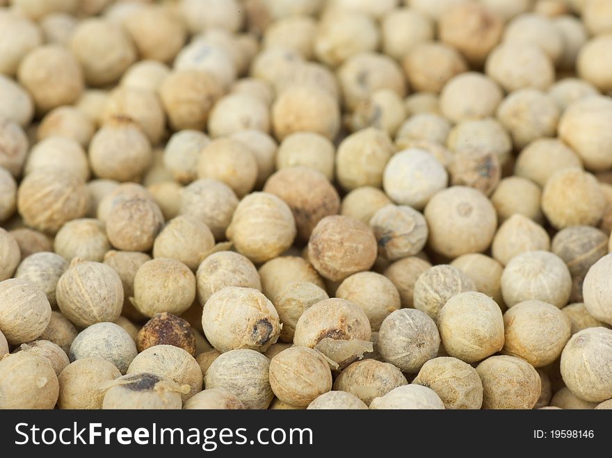 Spices: white pepper grains. Shallow DOF. Focused on lower part of image. Spices: white pepper grains. Shallow DOF. Focused on lower part of image