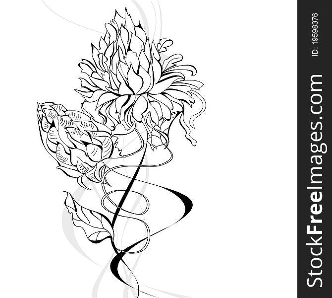 Sketch with beautiful decorative flowers. Sketch with beautiful decorative flowers