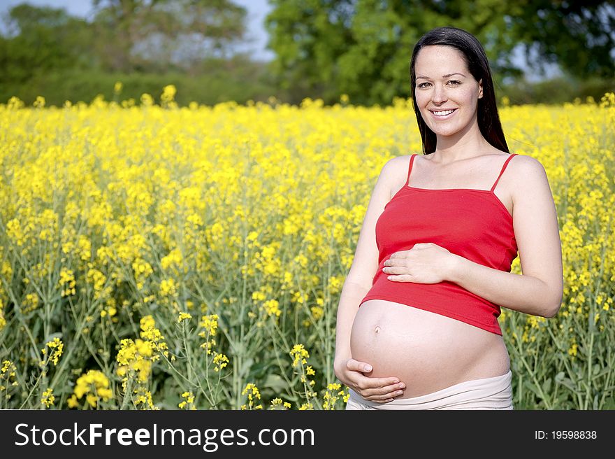 Relaxed pregnant woman standing in a beautiful field smiling to camera. Relaxed pregnant woman standing in a beautiful field smiling to camera