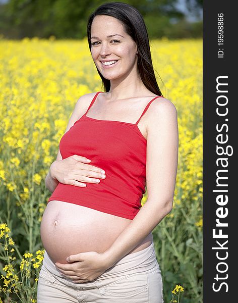 Pregnant woman standing in a beautiful field. Pregnant woman standing in a beautiful field