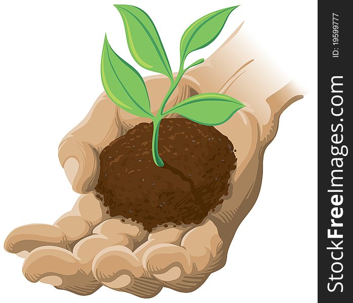 An illustration of a hand holding a plant in soil. An illustration of a hand holding a plant in soil.