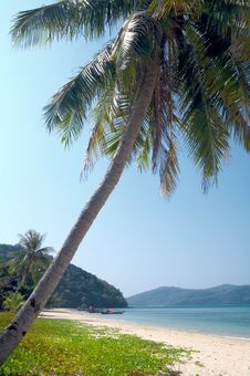 Tropical Island Stock Image