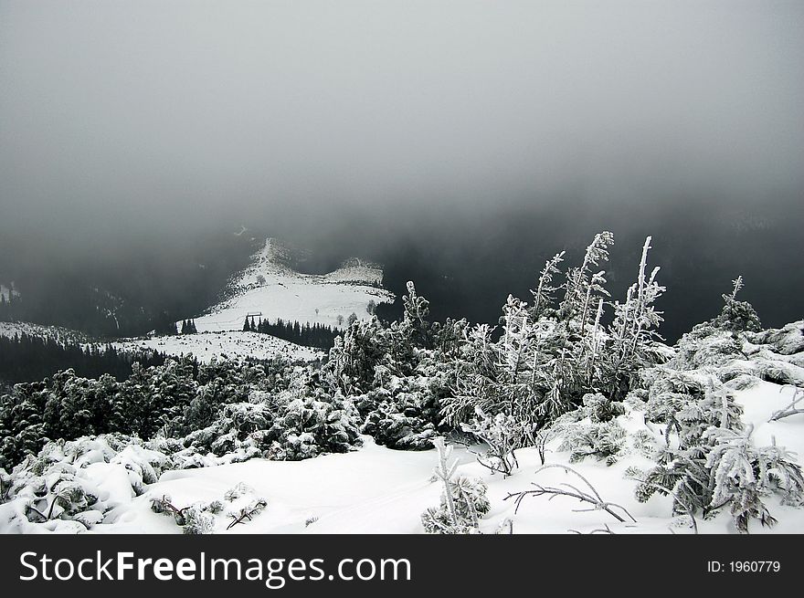 Village in the winter forest on the mountains. Village in the winter forest on the mountains