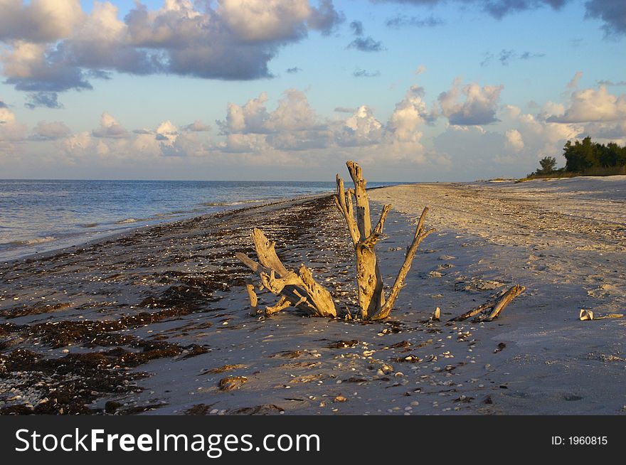 Early morning beach with sandcastle