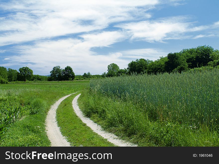 A campaign road in the middle of a field in Canavese, Piedmont, Italy. A campaign road in the middle of a field in Canavese, Piedmont, Italy