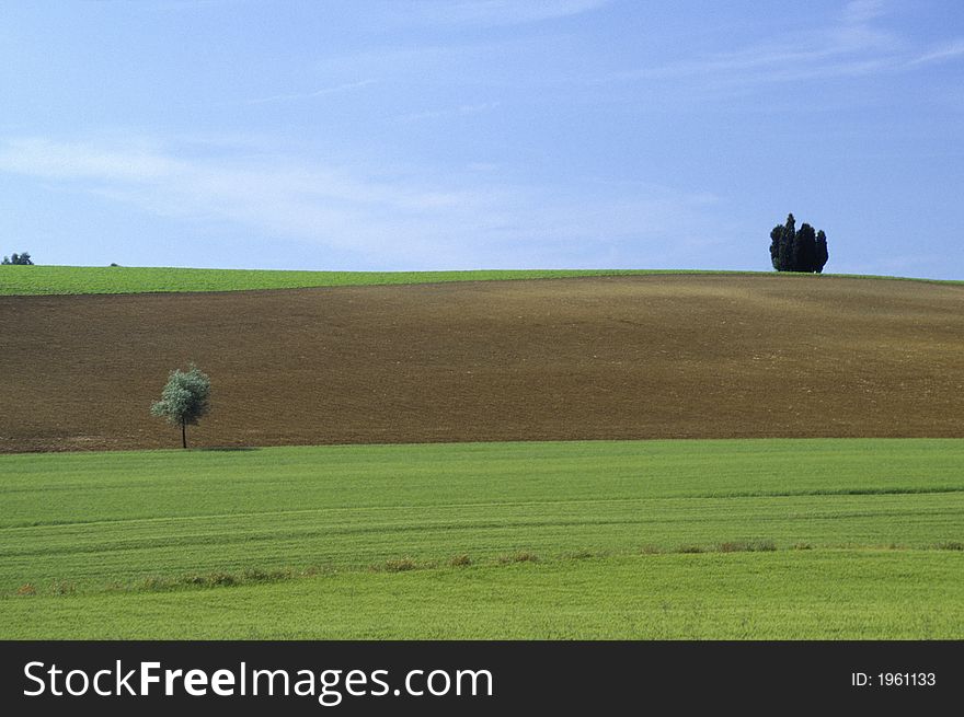 Tuscany landscape