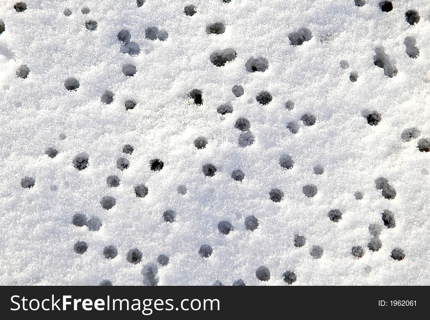 Rain drops structure on the melting snow. Rain drops structure on the melting snow